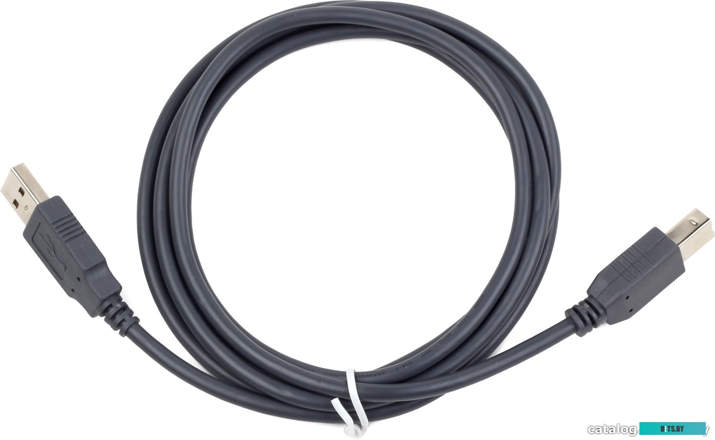 Кабель Cablexpert CCP-USB2-AMBM-6G
