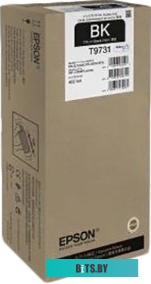 Чернила Epson C13T973100