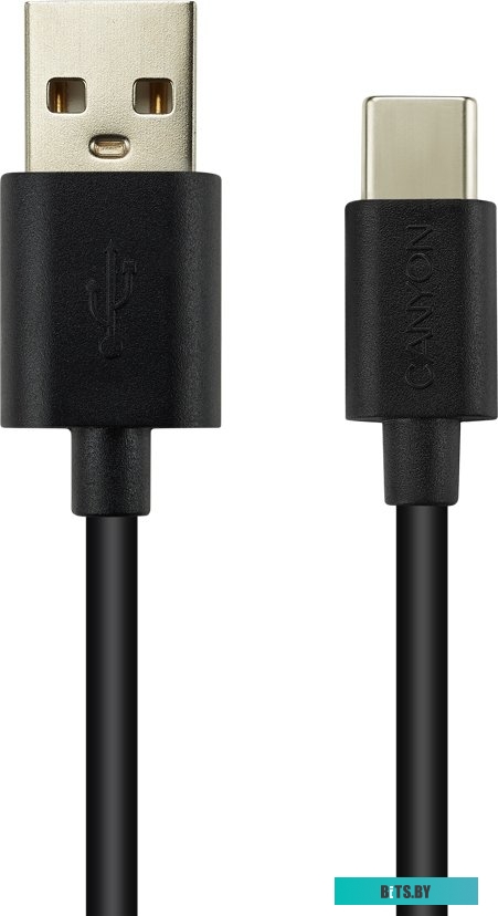 Кабель Canyon CNE-USBC2B
