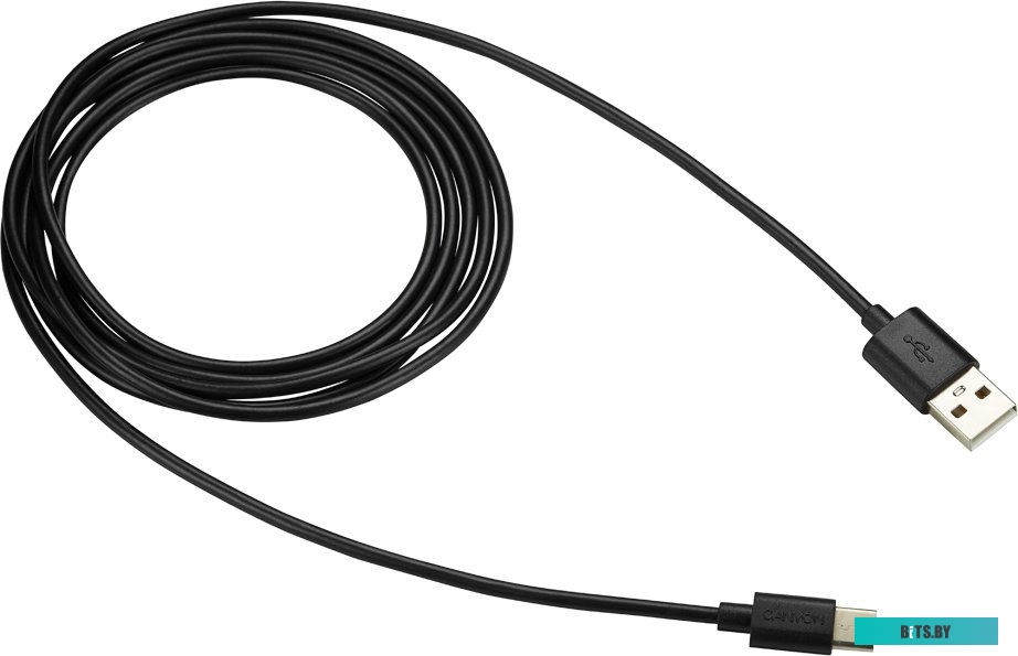 Кабель Canyon CNE-USBC2B