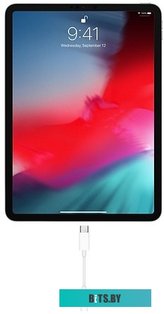 Адаптер Apple 3.5 мм - USB Type-C <MU7E2ZM/A>