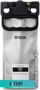 Чернила Epson C13T01C100