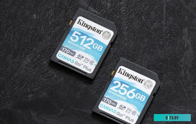 Карта памяти Kingston Canvas Go! Plus SDXC 256GB <SDG3/256GB>