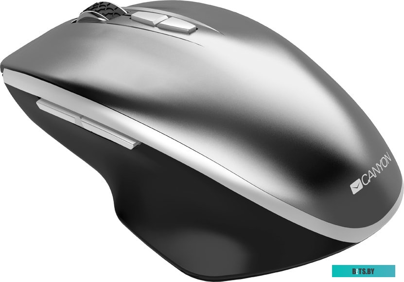 Мышь Canyon MW-21 (графит) <CNS-CMSW21DG>
