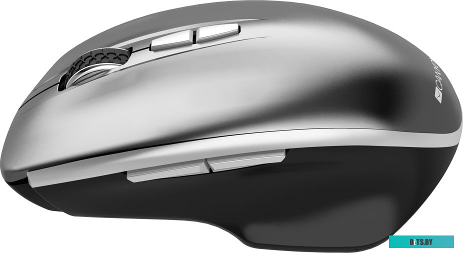 Мышь Canyon MW-21 (графит) <CNS-CMSW21DG>
