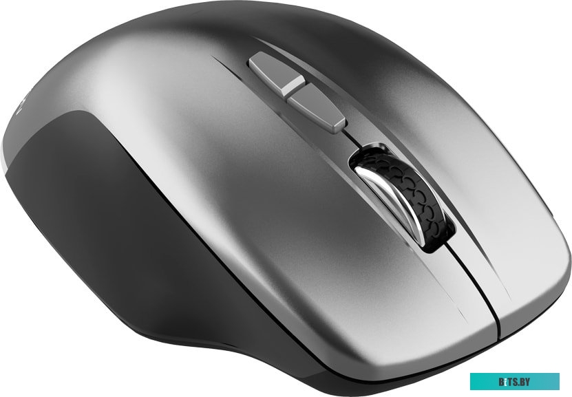 Мышь Canyon MW-21 (графит) <CNS-CMSW21DG>
