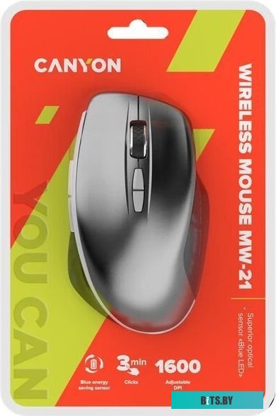 Мышь Canyon MW-21 (графит) <CNS-CMSW21DG>