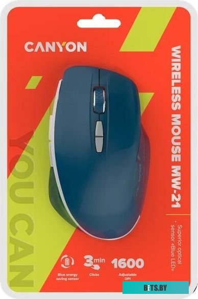 Мышь Canyon MW-21 (сапфир) <CNS-CMSW21BL>