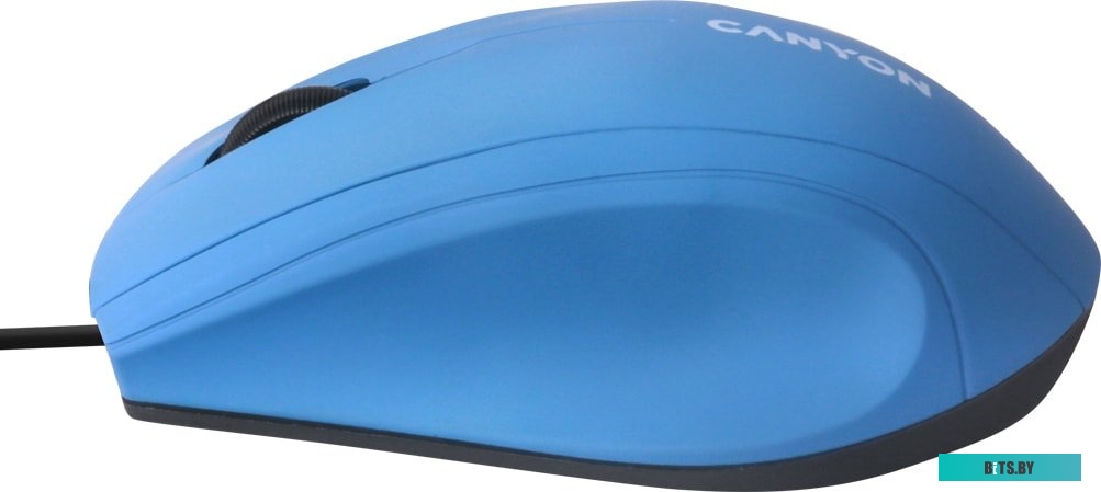 Мышь Canyon CNE-CMS05BX