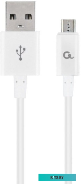 Кабель Cablexpert CC-USB2P-AMmBM-1M-W