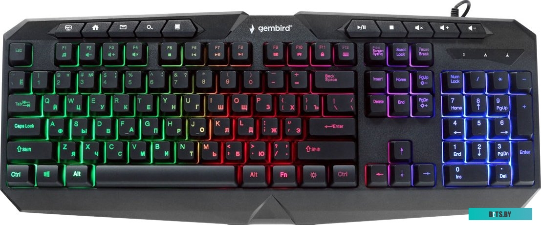 Клавиатура Gembird KB-G420L