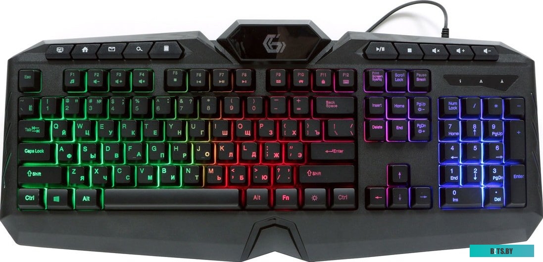 Клавиатура Gembird KB-G410L