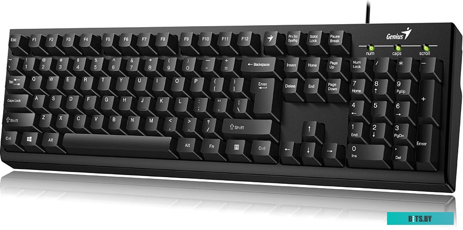 Клавиатура Genius KB-100