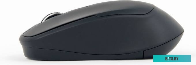 Мышь Gembird MUSW-4B-05