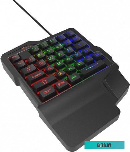 Клавиатура Ritmix RKB-209BL