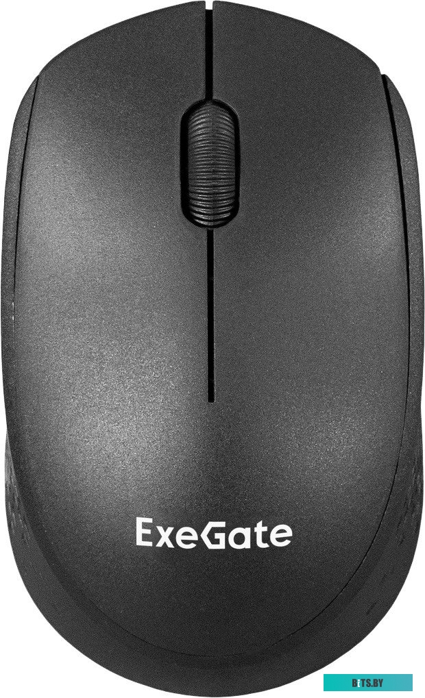 Мышь ExeGate Professional Standard SR-9038 EX295309RUS