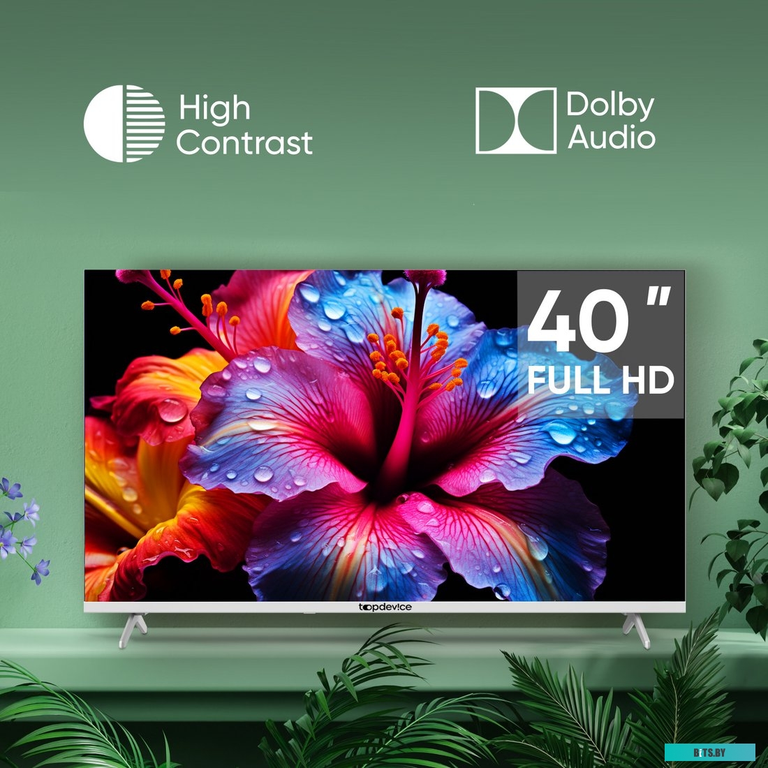 TDTV40CN04F_WE Телевизор 40"DLED TV,Digital TV,TWO LEGS,P3 STAND,MSD3663, DVB-T/C/T2/S2,WITH CI SLOT,CI+,Innolux180±20 brightness, USB,Hotel function,