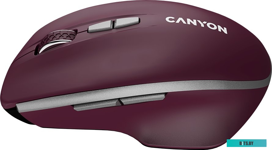 Мышка Canyon MW-21 CNS-CMSW21BR