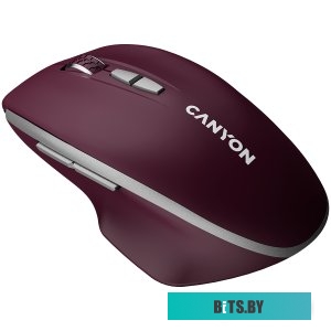 Мышка Canyon MW-21 CNS-CMSW21BR