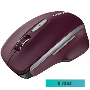 Мышка Canyon MW-21 CNS-CMSW21BR
