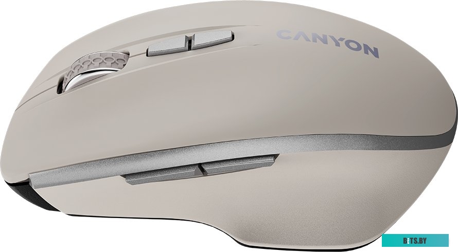 Мышь Canyon MW-21 CNS-CMSW21CL