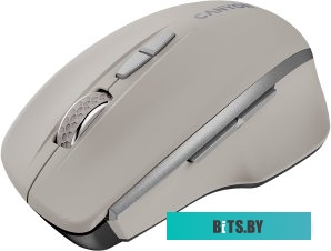 Мышь Canyon MW-21 CNS-CMSW21CL