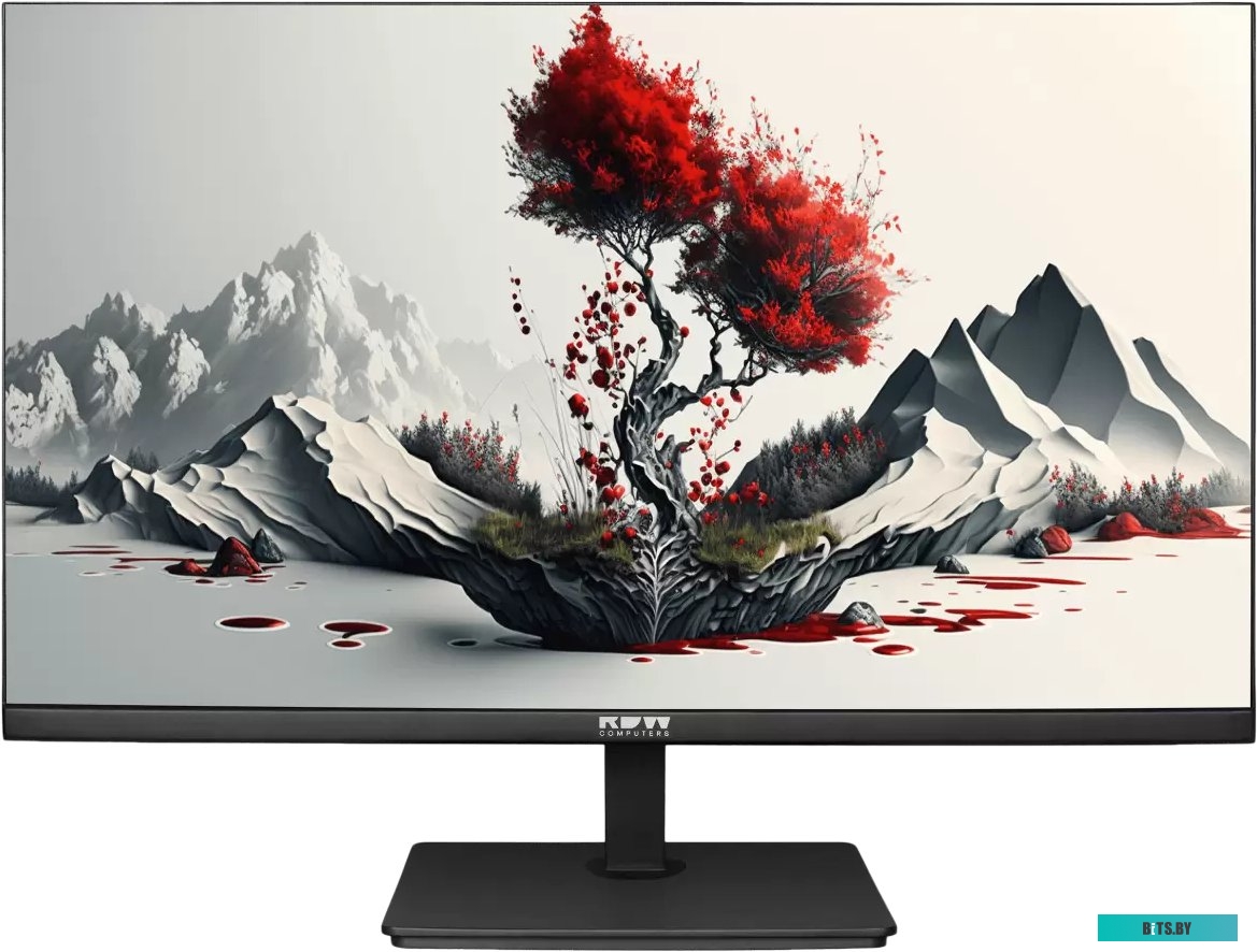 RDW2401K/HDMI Монитор RDW Computers 23.8" RDW2401K/HDMI черный IPS 5ms 16:9 HDMI M/M матовая 1000:1 300cd 178гр/178гр 1920x1080 75Hz VGA DP (RUS)
