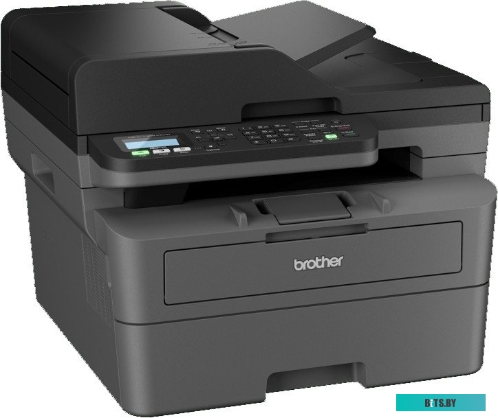 МФУ Brother MFC-L2800DW MFCL2800DWRE1