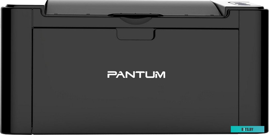 P2500-NC1 Лазерный монохромный принтер Pantum P2500, Printer, Mono laser, А4, 22 ppm (max 15000 p/mon), 600 MHz, 1200x1200 dpi, 128 MB RAM, paper tray