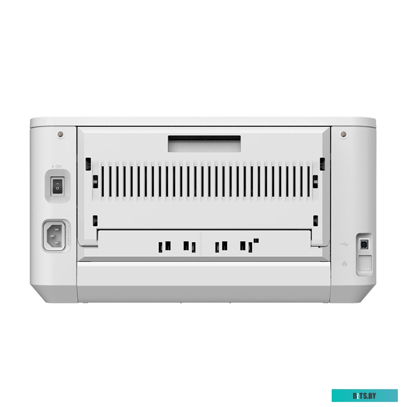 Принтер Deli P2000DNW