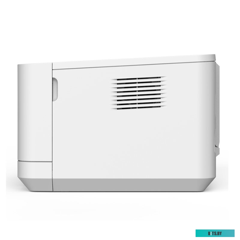 Принтер Deli P2000DNW