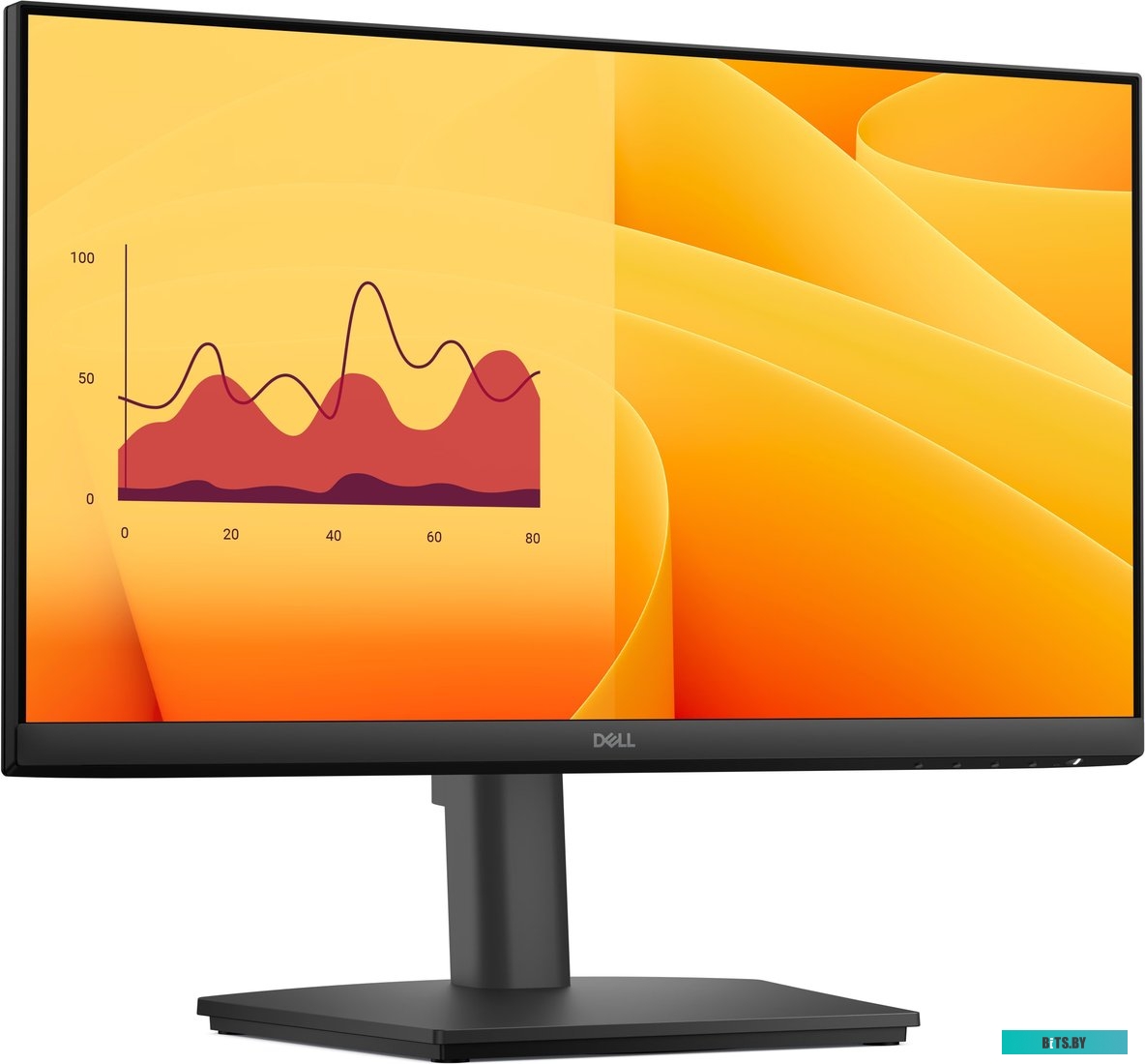 E2225HSM Dell Pro E2225HSM
