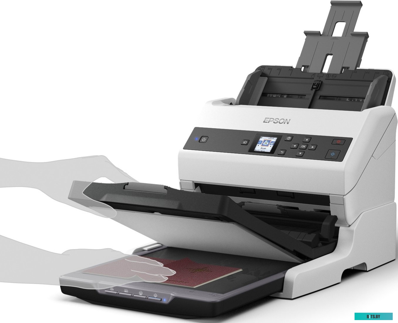 Сканер Epson DS-870 <B11B250401>