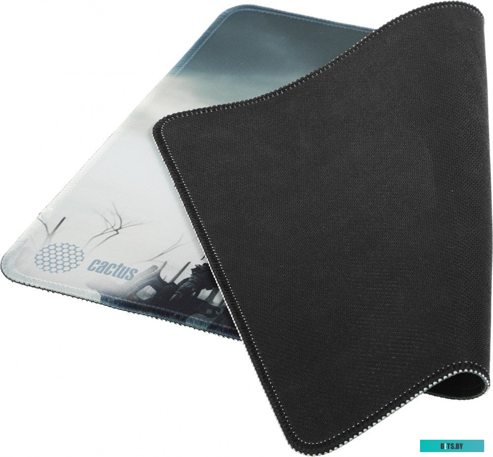 Коврик для мыши Cactus Sking CS-MP-PRO09XL