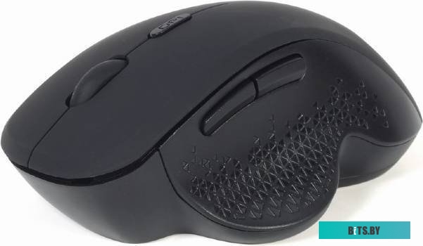 Мышь Gembird MUSW-6B-02