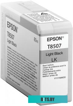Картридж Epson C13T850700