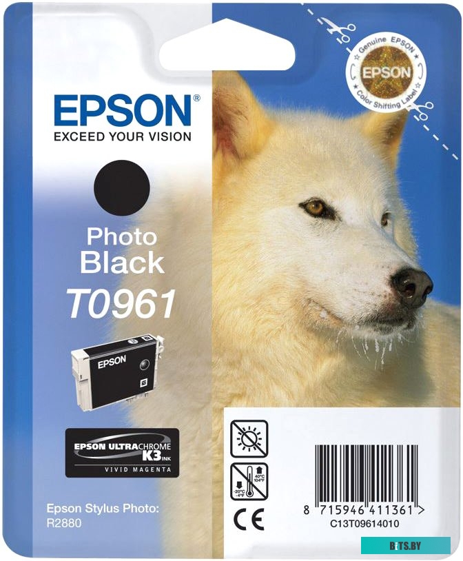 Картридж Epson T0961 C13T09614010.