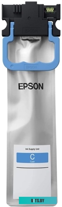Картридж Epson C13T01C200