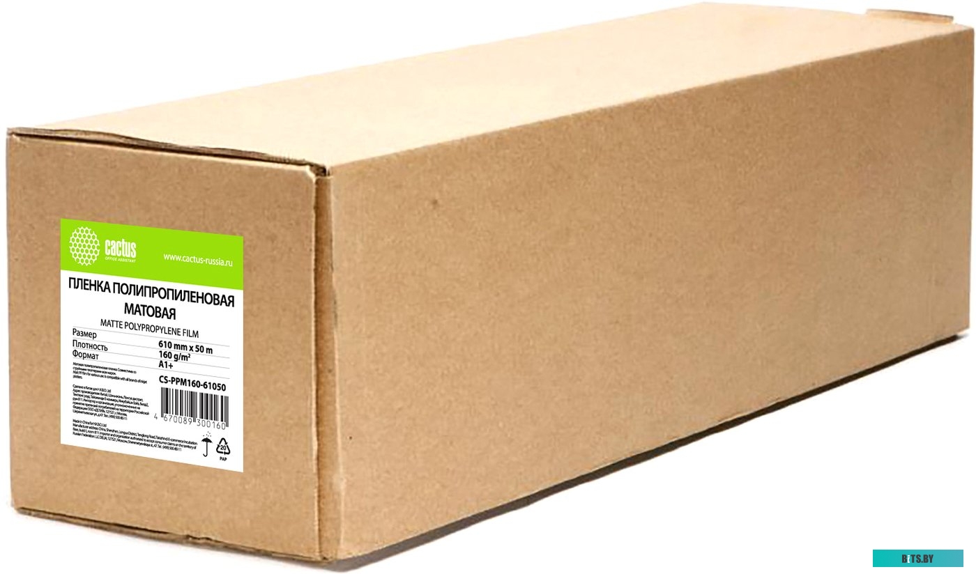 Бумага для печати CACTUS A1 160г/м2 матовый CS-PPM160-61050