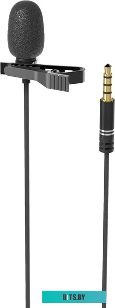 Микрофон Ritmix RCM-110