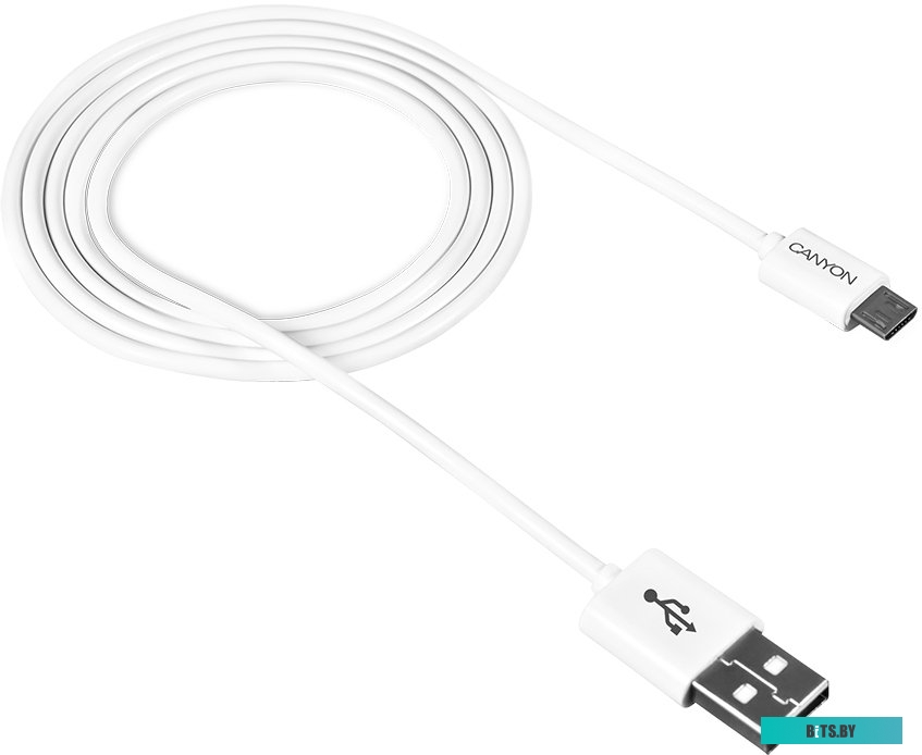 Кабель Canyon CNE-USBM1W