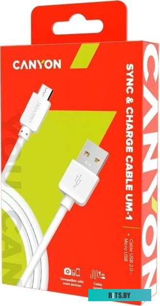 Кабель Canyon CNE-USBM1W
