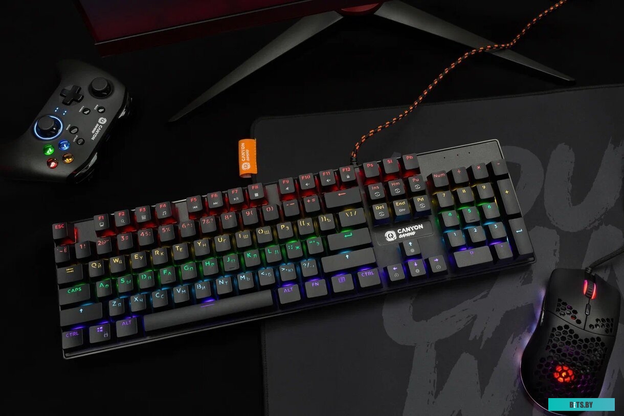 Мышь Canyon Puncher GM-11 (черный) <CND-SGM11B>