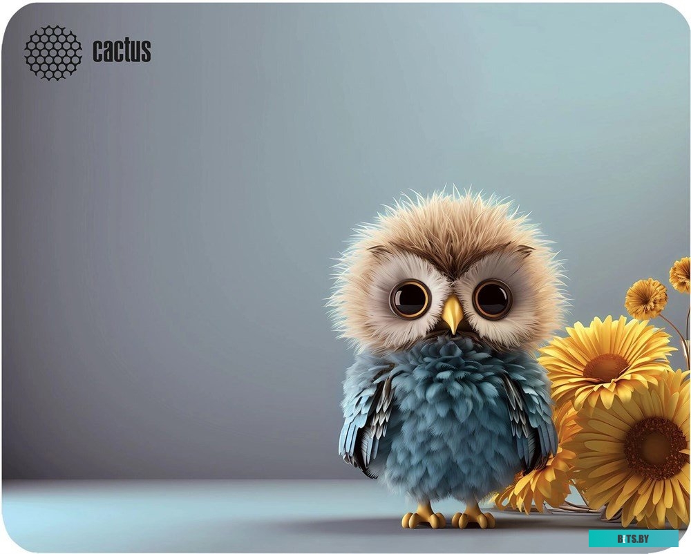 Коврик для мыши Cactus Owl gray CS-MP-D12M