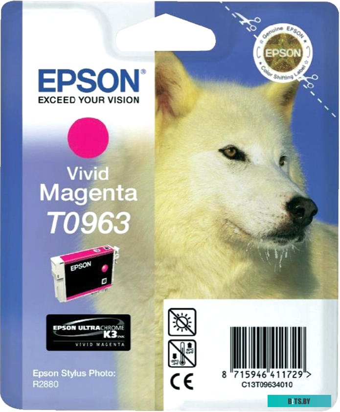 Картридж Epson C13T09634010