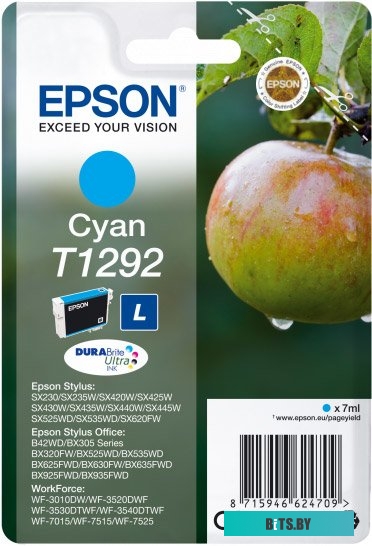 Картридж Epson C13T12924012