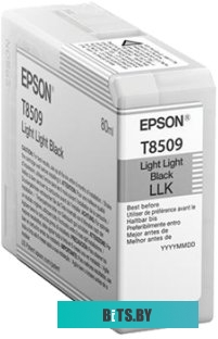 Картридж Epson C13T850900