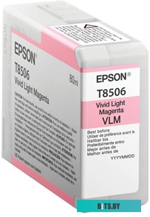 Картридж Epson C13T850600