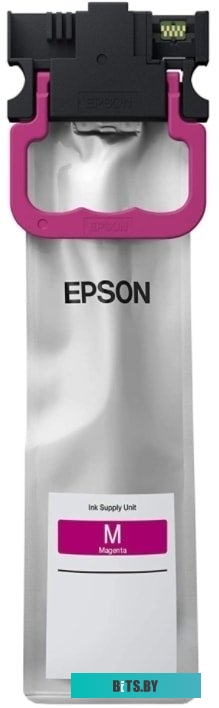 Картридж Epson C13T01C300