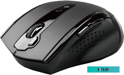 Мышь A4Tech G10-810F